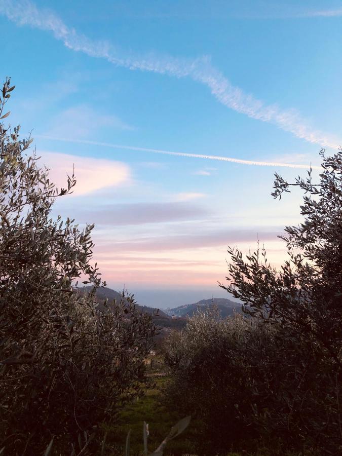 Bed And Breakfast Ca Du 5 Tovo San Giacomo Exteriér fotografie